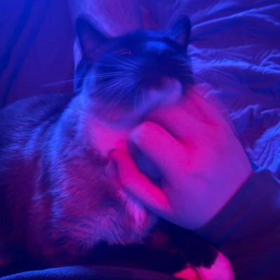 Tylerさんのプロフィール画像
