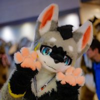 えるるー→Hifurry (@aileloup_kemo) 's Twitter Profile Photo