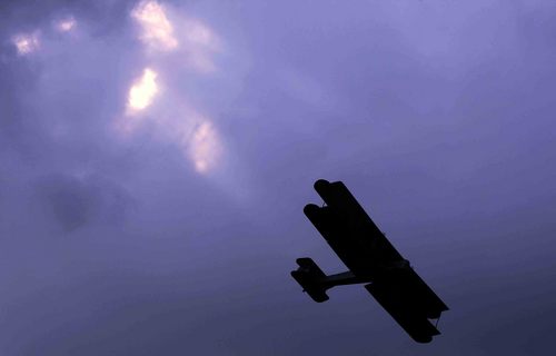 petertarry's profile picture. professional Snapper, Old school BMX lover and all round good egg