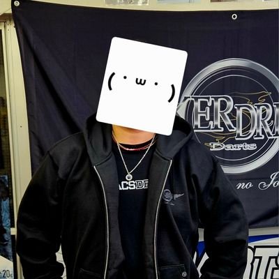 @mattsun_DARTS_