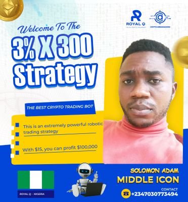 SolowiseXchange's profile picture. 