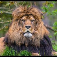 Larry S (@larryrides) 's Twitter Profile