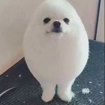 Egg🥚さんのプロフィール画像