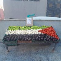 فحل جده السوداني زاير مكه (@aaljamraby47657) 's Twitter Profile