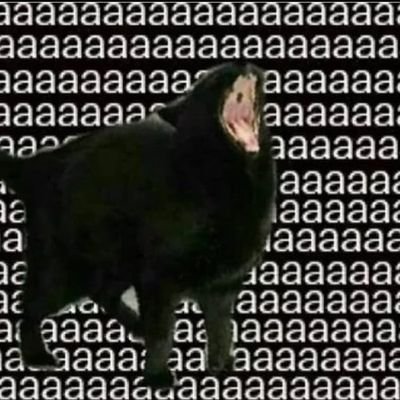 valdezvirjao's profile picture. 1001 inutilidades