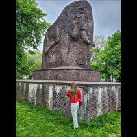 Kyrenia (@kyangzikcc) 's Twitter Profile
