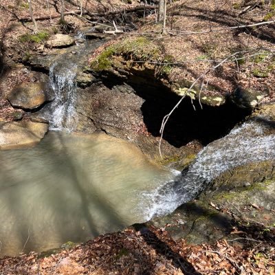 Theocleces's profile picture. “I have been in many cults, both as a leader and follower. You have more fun as a follower but make a lot more money as a leader.”