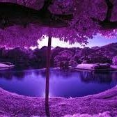 booohennny's profile picture. R