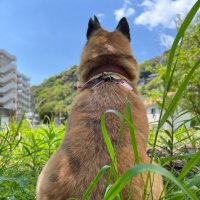⭐︎uta⭐︎の保護者٩(๑❛ᴗ❛๑)۶ (@uta_home) 's Twitter Profile Photo ⭐︎uta⭐︎の保護者٩(๑❛ᴗ❛๑)۶ (@uta_home) 's Twitter Profile Photo