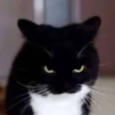 sgjgg12's profile picture. 我的超大只德牧 @KerryDobryn