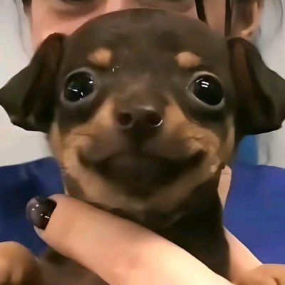 구독