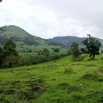 MAbert84041's profile picture. 