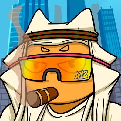 AYZ Profile