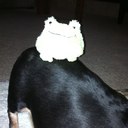 mickey robinson - @SHADOWWILSON - Twitter