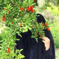 ریحانه (@reyhaneh_1396) 's Twitter Profile Photo