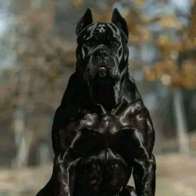 Spokelse7's profile picture. 🚫 Crypto.  🚫 DM’s.
