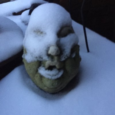 Gramma350's profile picture. Questioning everything since Grade 9. Participated in the anti war movement in the late 60’s, in various trade unions struggles, truckers convoy participant .