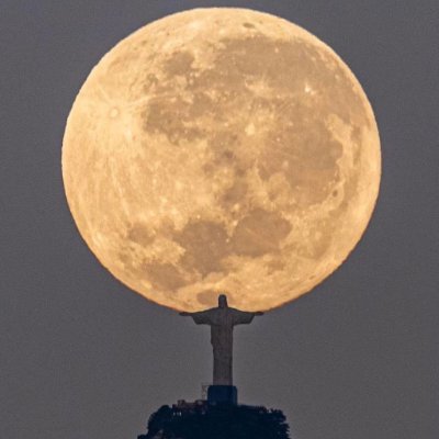 _sorouch's profile picture. 