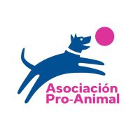 Pro-Animal (@proanimal_gt) 's Twitter Profile Photo Pro-Animal (@proanimal_gt) 's Twitter Profile Photo