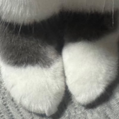 wannamorecoffee's profile picture. 