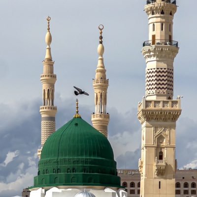 vipeyad's profile picture. 