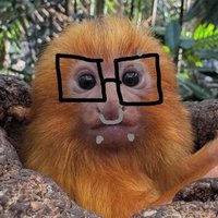 El Macaco (@kamucore) 's Twitter Profile Photo El Macaco (@kamucore) 's Twitter Profile Photo