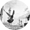 Meerooo100's profile picture. كن شيئا جميلاً بحياة من يعرفك ، ومن لا يعرفك.وكفى أن لنا ربّاً ، يجازينا بالإحسان إحسانا ( إِلَيهِ يَصعَدُ الكَلِمُ الطَّيِّبُ )