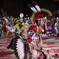 NLC (@nativelearningc) 's Twitter Profile