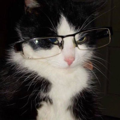 Faneboi3's profile picture. 20 years old