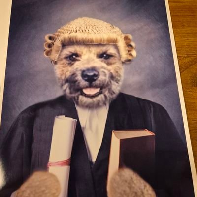 Cornish Boi/Judge on Wennesdays - Lord Chief Woofstice of the Supreme Court of Terriers
Identifies as dog/doggo/boi/prick/dickhead/twat/sumtimes a sweet angel