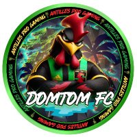 DomTom FC (@domtomfc) 's Twitter Profile