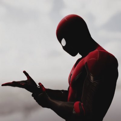 seyithanelseven's profile picture. 