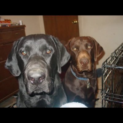 adefemi_g's profile picture. Web3 collector .