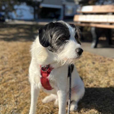 malanne87's profile picture. 