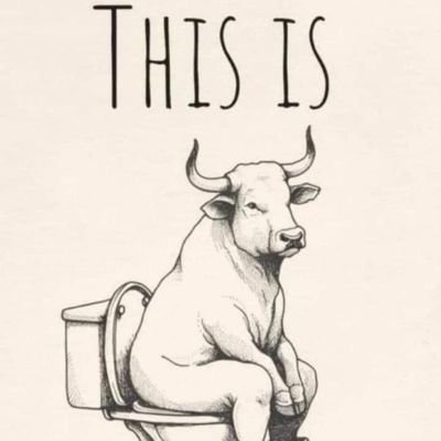 patTpenguin's profile picture. 