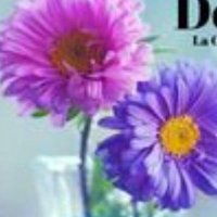 ValdebernardoVK (@valdebernadovk) 's Twitter Profile Photo ValdebernardoVK (@valdebernadovk) 's Twitter Profile Photo