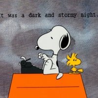 Stef (@palmestef) 's Twitter Profile