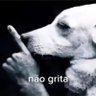 naogritaKarai's profile picture. não sou nada disso que vc está vendo, sou bem pior.