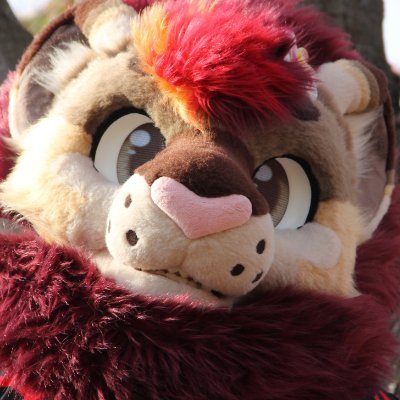 New Acct || Snowboarding enthusiast || Software E || Certified Deadlock Main 👑 || Bi || He/Him 🇺🇸 || Suit by: @lemonbrat ||
