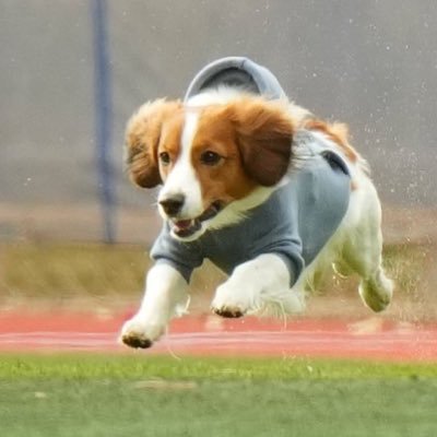 green_s17_'s profile picture. 