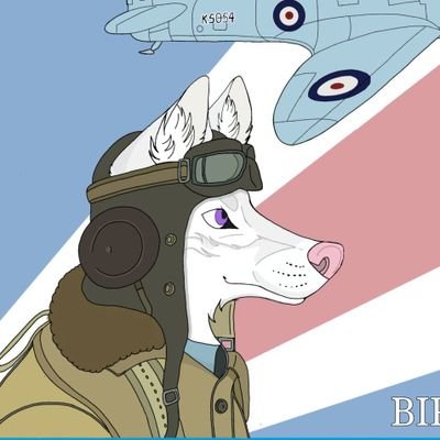 Kimberarcticfox's profile picture. Arctic fox 🦊❄️ | 🔞 | 23 | Germany 🇩🇪 | Raw Meat enjoyer