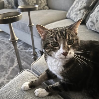 FlickFlick6's profile picture. Just checking things out!