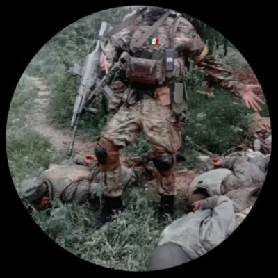 Manolo12345666's profile picture. Give them bread and circuses, and they will never revolt.