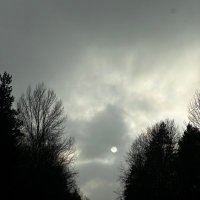 kllll (@helllo726) 's Twitter Profile