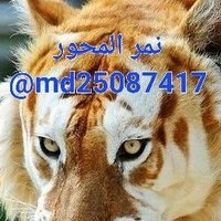 نمر المحور (@md25087417) 's Twitter Profile Photo نمر المحور (@md25087417) 's Twitter Profile Photo