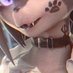 MaxKore (Comms Open) (@maxk621) Twitter profile photo MaxKore (Comms Open) (@maxk621) Twitter profile photo