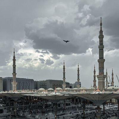 لأ آله إلا الله محمداً رسول اللّه سبحانك ربي إني كنتُ من الضالمين .
متابع لكرة القدم
موطني اليمن وفي وتيني قبلة المسلمين 🕋🇸🇦
