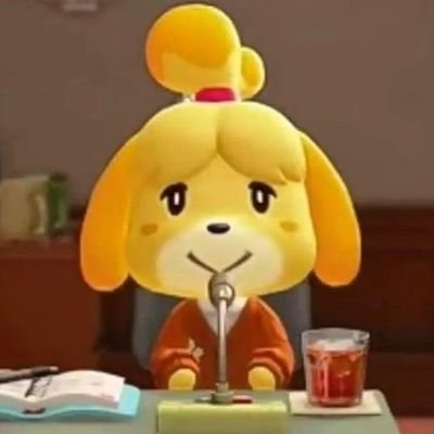 grayson3997's profile picture. 