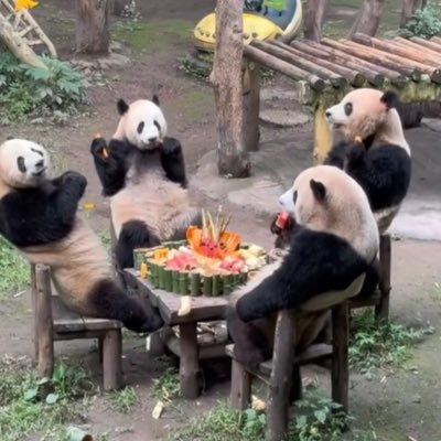 _callmeboop_'s profile picture. 