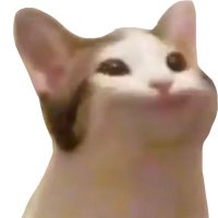 RedPilledPaws (@basedmeoww) 's Twitter Profile